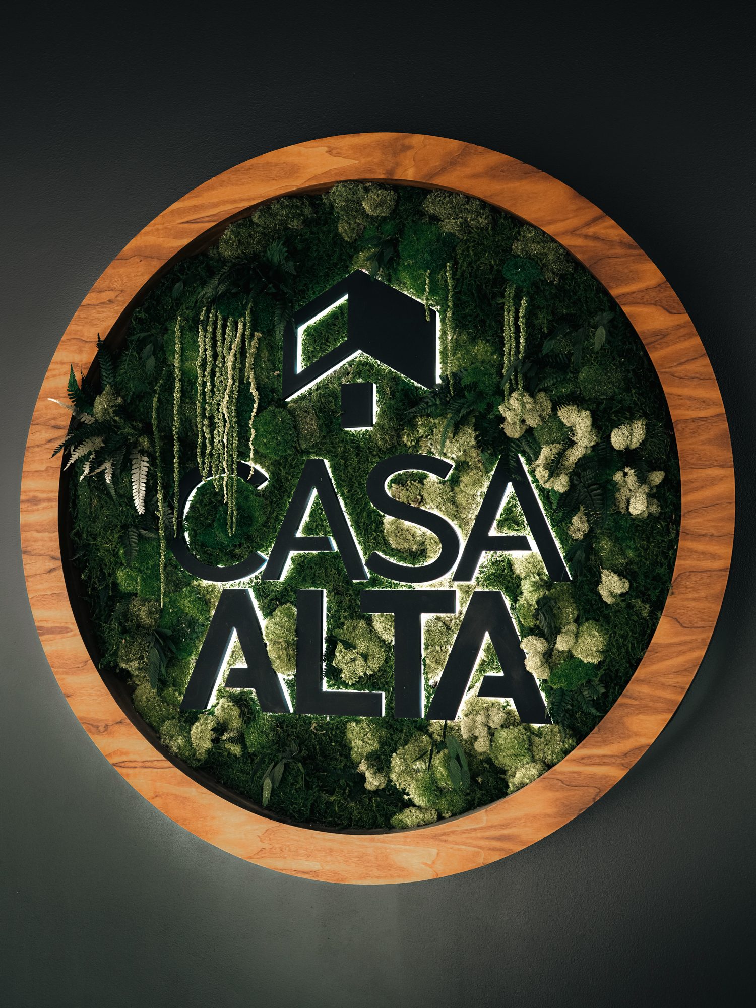 CASA ALTA Studios