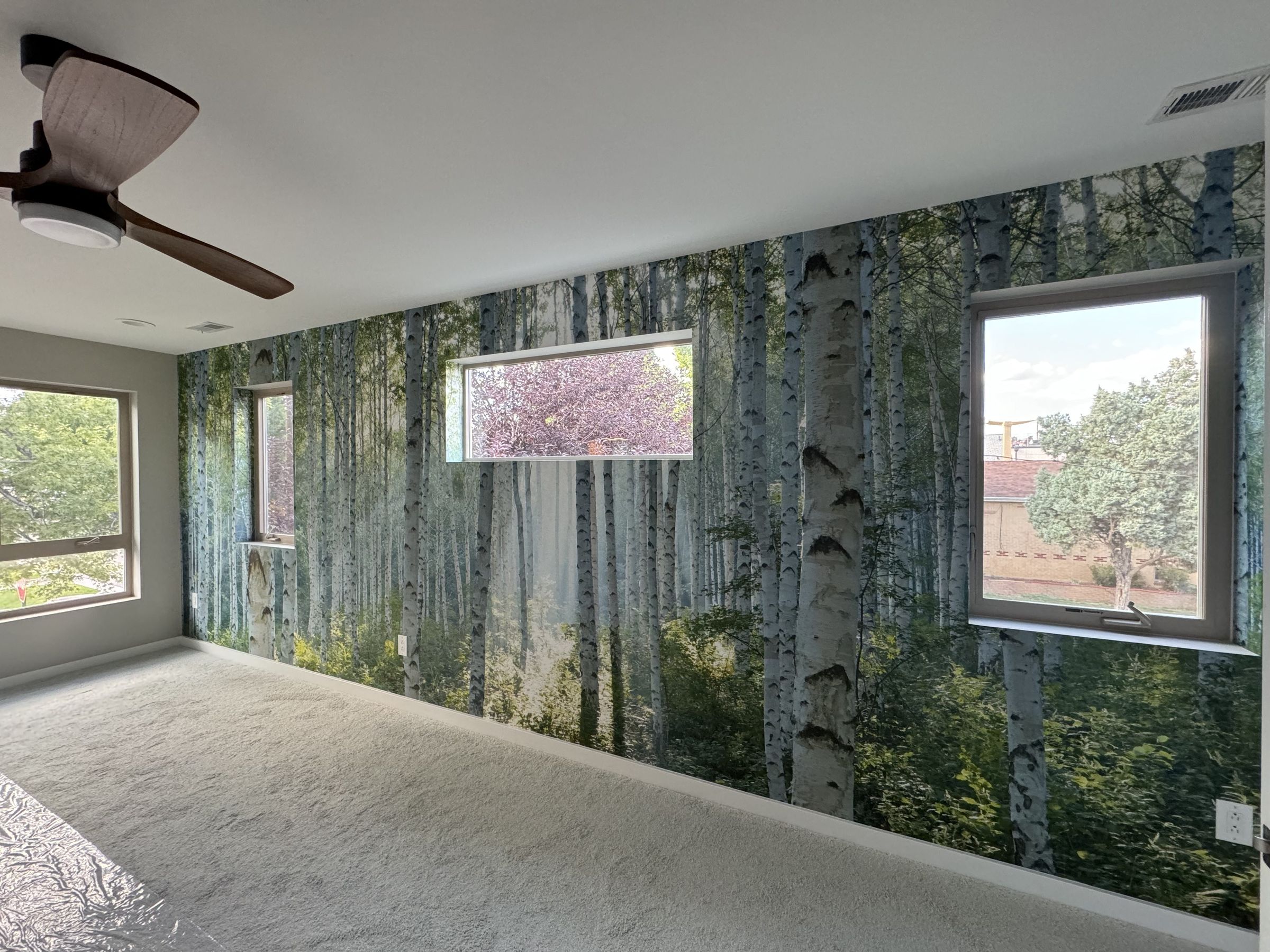LoHi Remodels