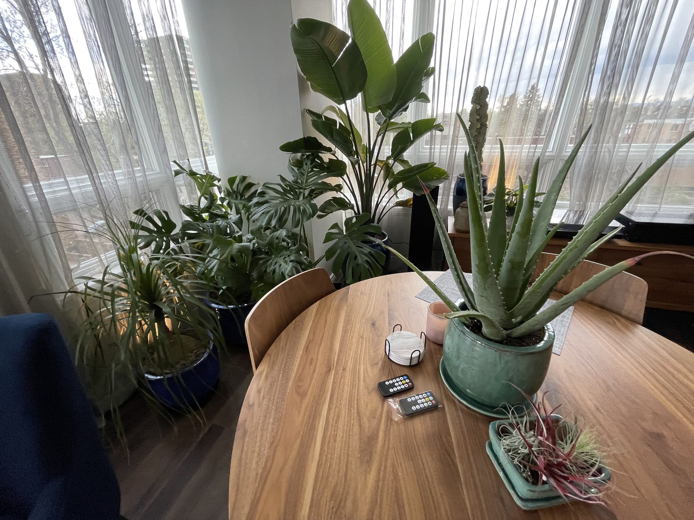 LoHi Remodels